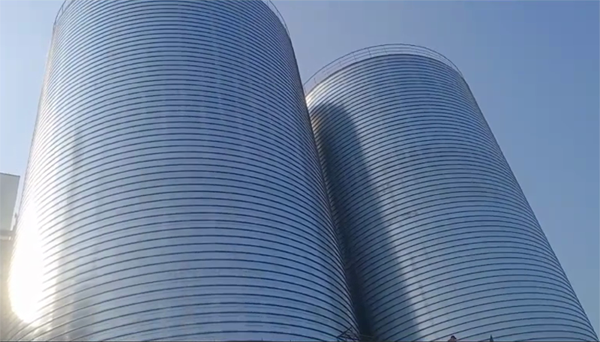 潘集2座混凝土高架卷板仓